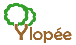 logo logiciel ged ylopee